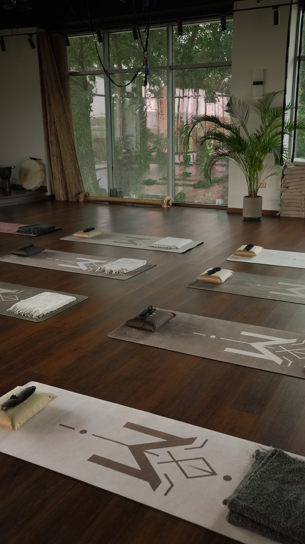 Hatha Yoga practice preview